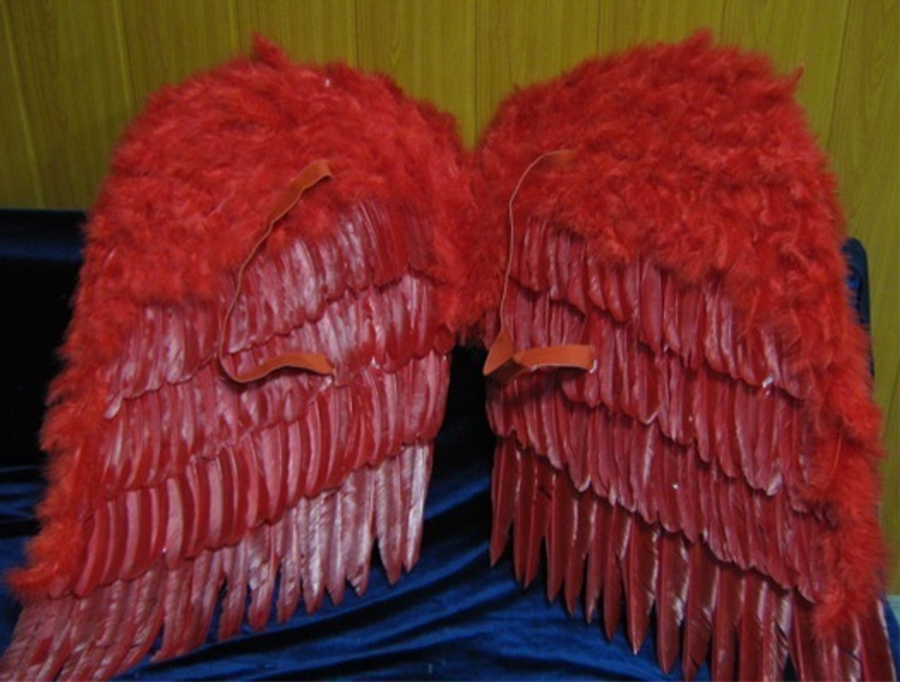 Королевские крылья перьевые красн 80х80