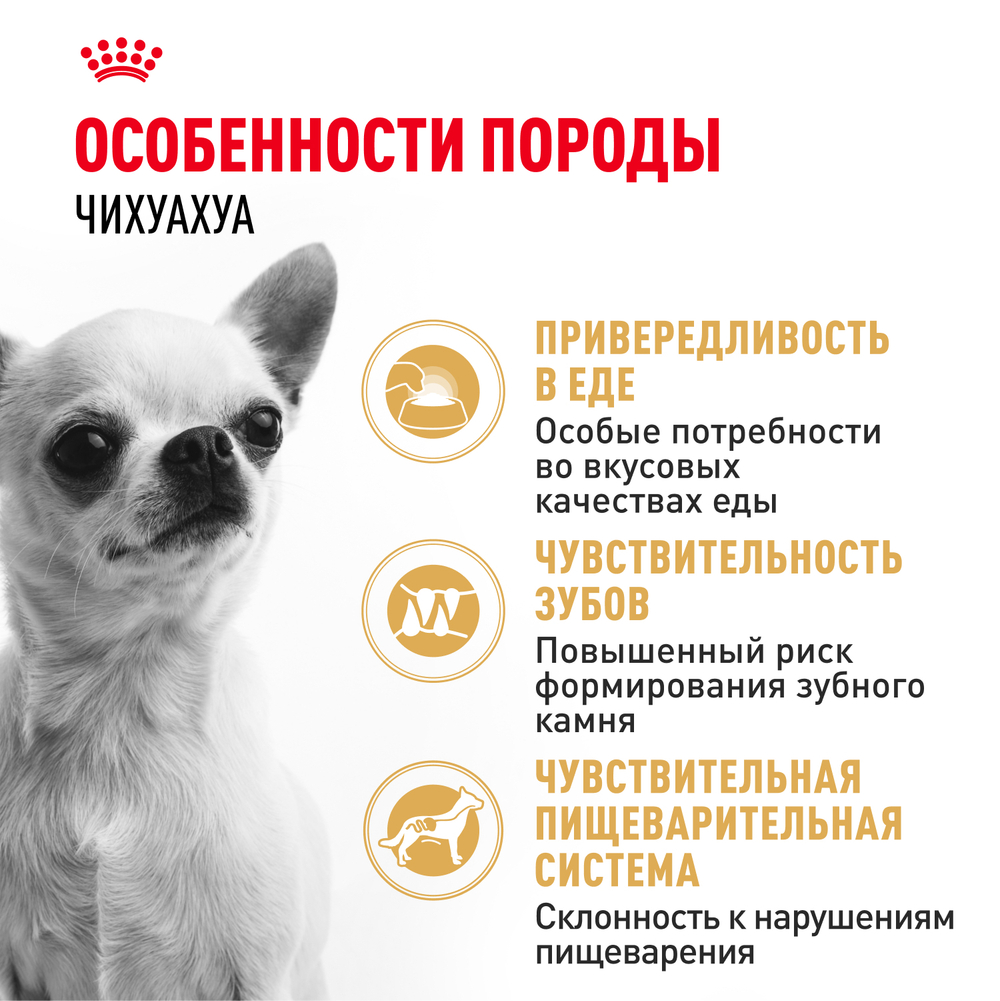 Royal Canin Chihuahua Adult Корм сухой для взрослых собак породы Чихуахуа от 8 месяцев - 0,5 кг