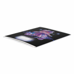 Тетрадь школьная ученическая, 12 л, клетка, ЛОЛИ