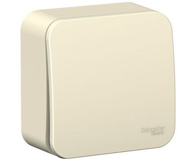 Выключатель одноклавишный BLANCA наружный (cхема 1), с изолирующей пластиной, 6А, 250В, молочный