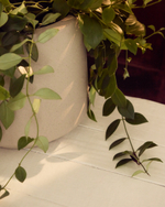 Кашпо Calun керамика бежевого цвета Ø 32 см