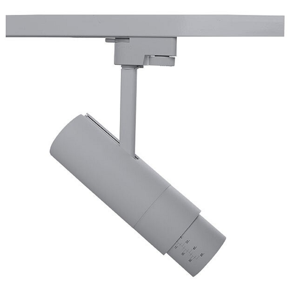 Трековый светильник Lightstar 215239