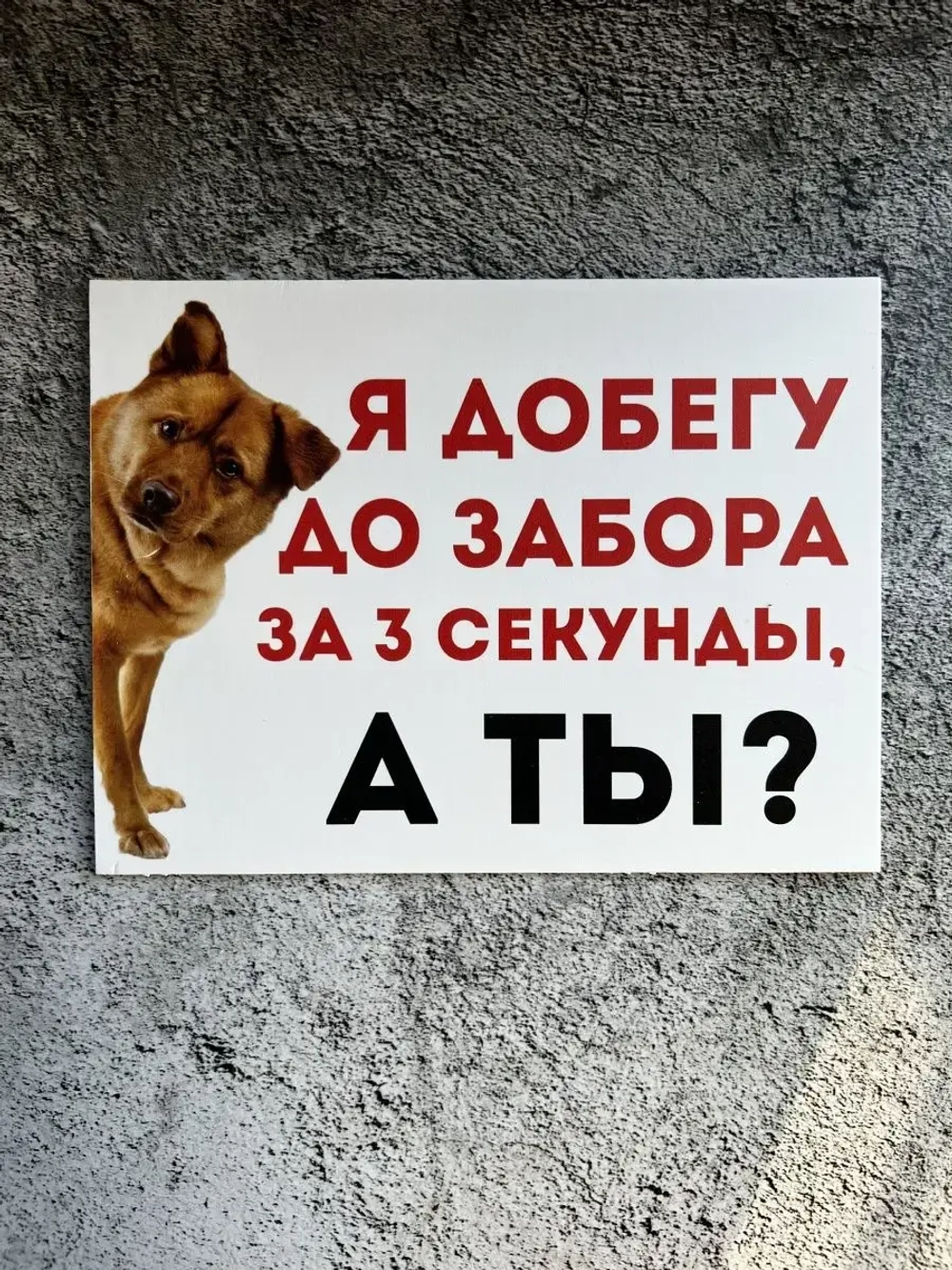 Табличка на дом Осторожно злая собака