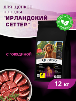 Корм сухой для щенков породы Ирландский сеттер, с говядиной, 12 кг, QUATTRO