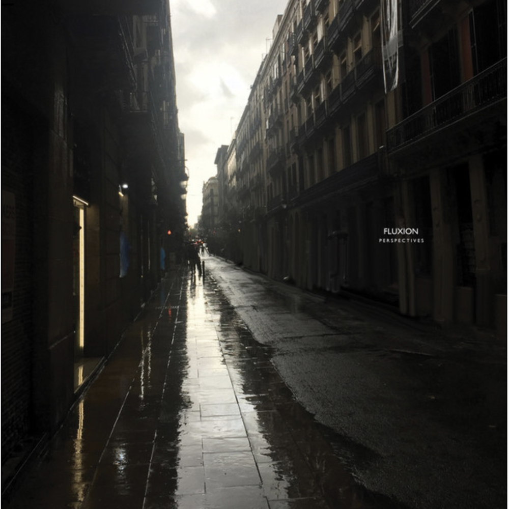 2LP: Fluxion — Perspectives