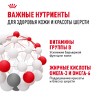 Royal Canin Maxi Dermacomfort Корм сухой для взрослых собак крупных размеров 3кг