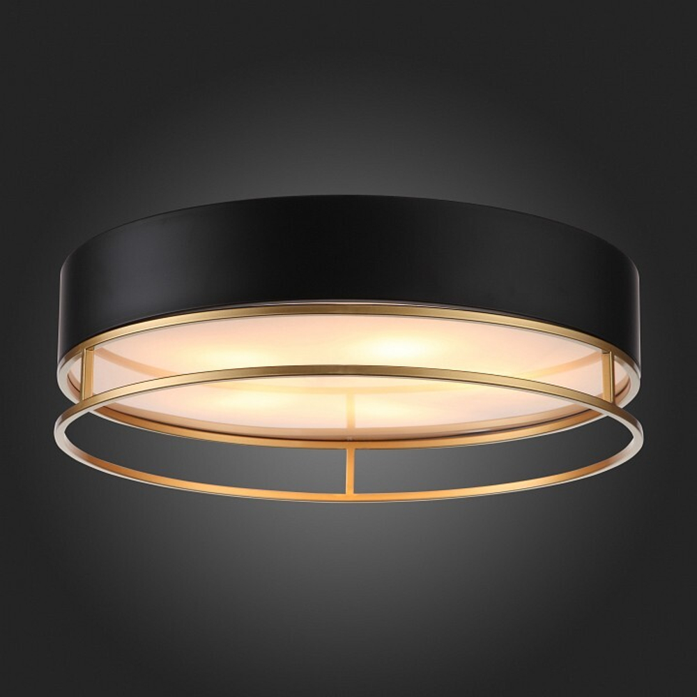 Накладной светильник ST-Luce SL1127.432.05