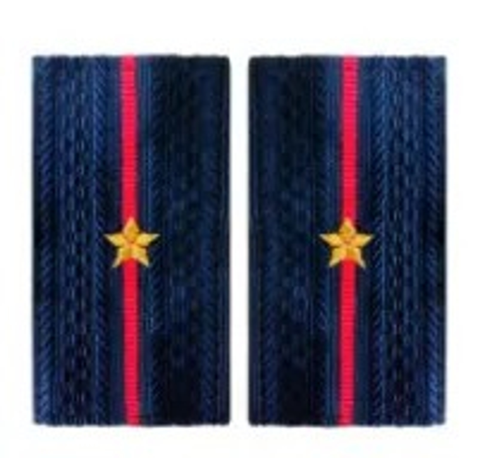 Фальшпогоны вышитые полиция мл. лейтенант 5*9 см