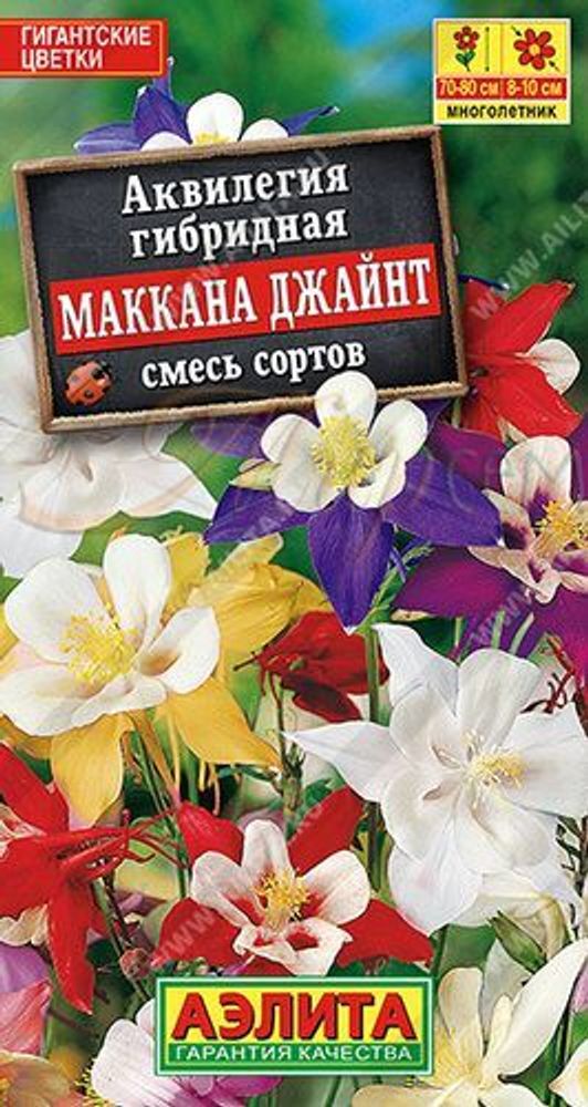 Аквилегия Маккана Джайнт, смесь Ц Аэлита