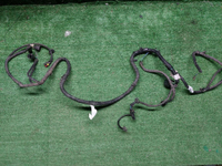 Проводка заднего бампера Москвич 3 (2022-н.в.)