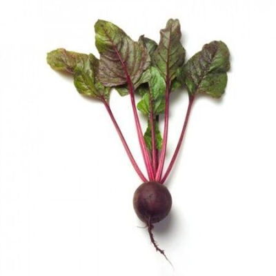 Либеро семена свеклы (Rijk Zwaan / Райк Цваан)