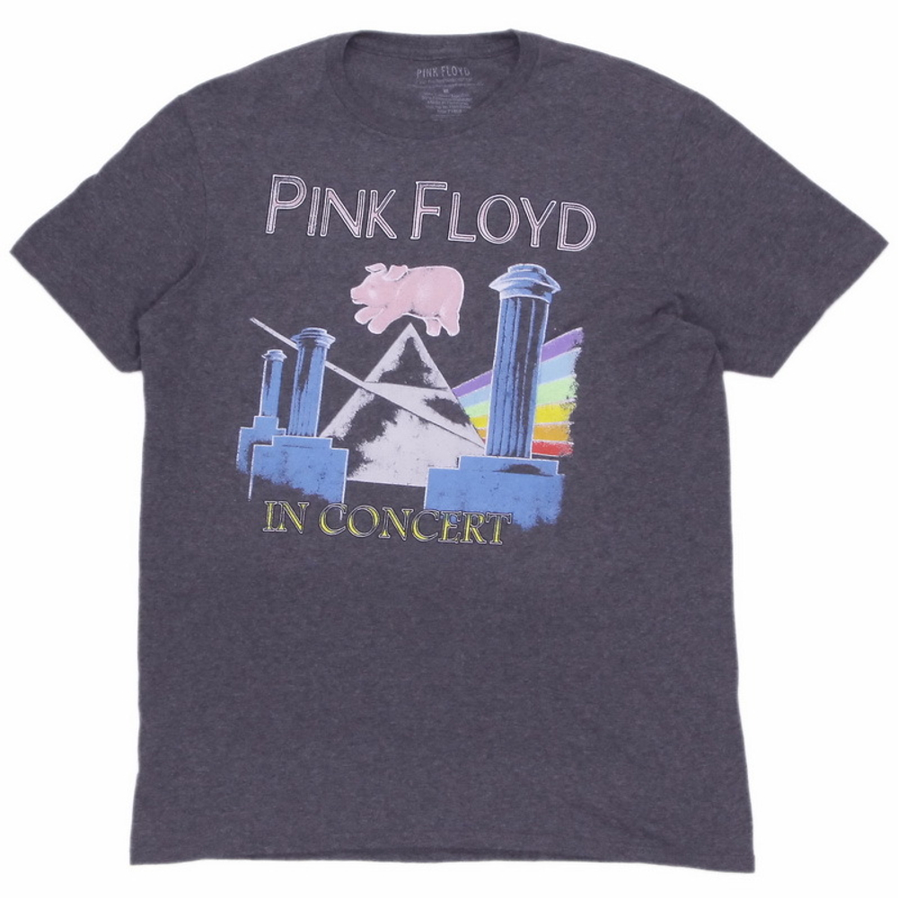 Футболки Pink Floyd In concert серая (717)