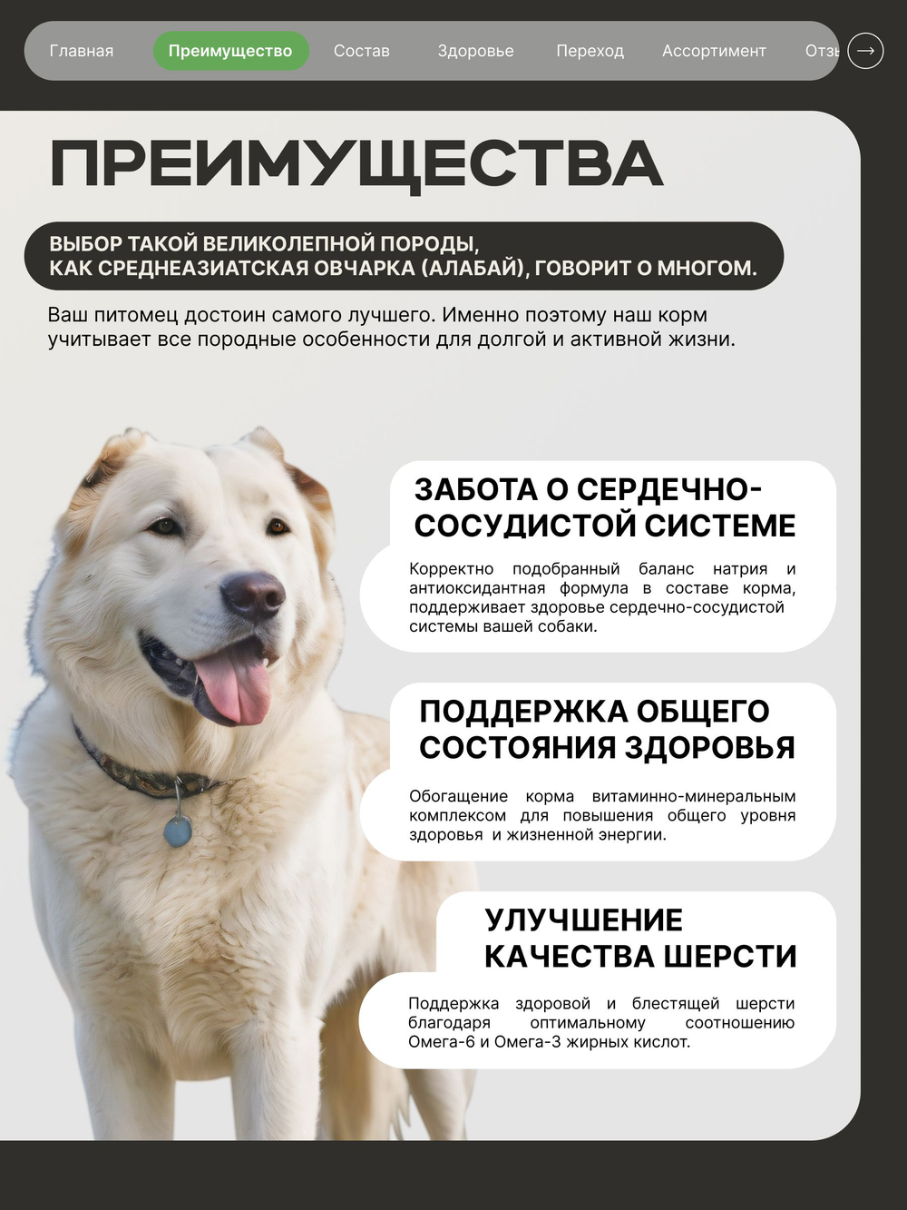 Корм сухой для взрослых собак породы Среднеазиатская овчарка (Алабай), с ягненком, 2.5 кг, QUATTRO
