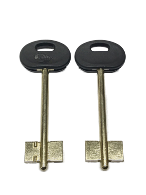 Заготовка дверняк МЕТТЭМ 1 в пластике