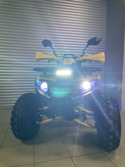 Квадроцикл PROMAX WILD 2.0 190 PRO (2025)