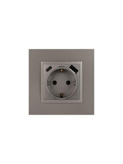Розетка Elegance 14-4108-16 16A 250В 2P+E защ. шторки с USB type-A+C 3А 5В титан Эра Б0067695