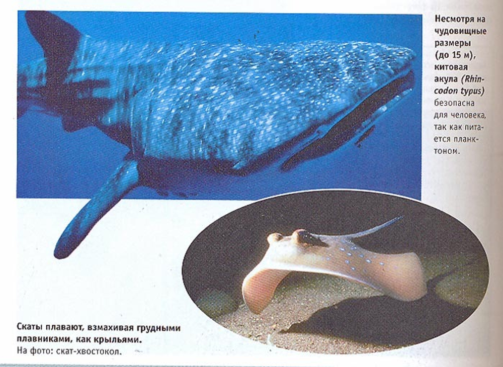 Большая иллюстрированная энциклопедия (комплект в 32 томах)
