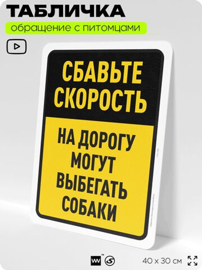 Табличка "На дорогу могут выбегать животные" на дверь и забор, для двора, дома, подъезда, 40х30 см, Silver Plane x Айдентика Технолоджи