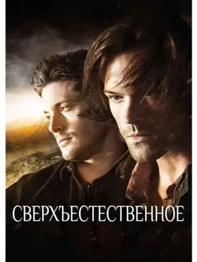 Сверхъестественное, 13 сезон (12 DVD) (DVD-R)