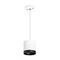 Комплект с подвесным светильником Lightstar Rullo (213486+590086+203487) RP34863487