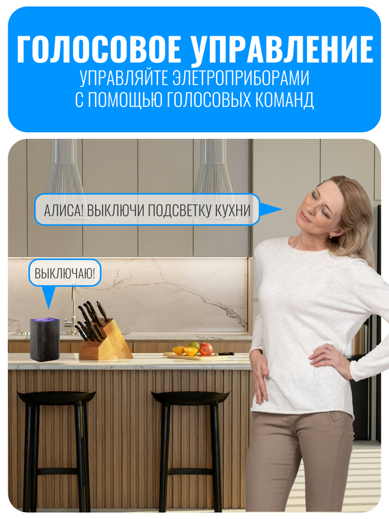 Умное двухканальное Wi-Fi реле Smart Aura
