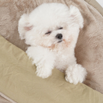 203 Плед двухсторонний "SSOOOK Blanket"