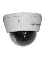 Видеокамера IP TSi-Veco45FP