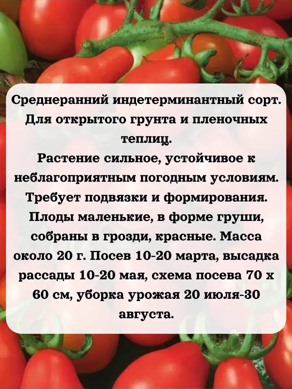 Семена Томат Красный колокольчик 0.2 гр