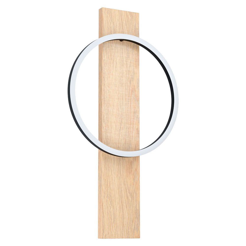 Настенный светодиодный светильник Eglo BOYAL 99466