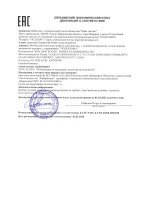 Рюкзак TIGER FAMILY школьный, Rainbow, с ортопедической спин