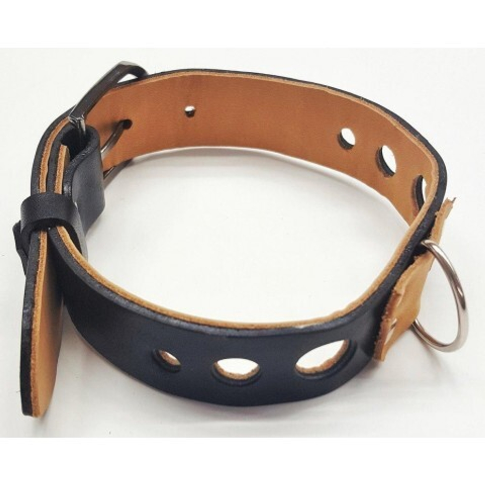 Ошейник Pit Bull 05