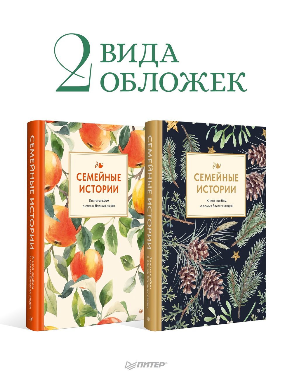 Семейные истории. Книга-альбом о самых близких людях (зимняя)