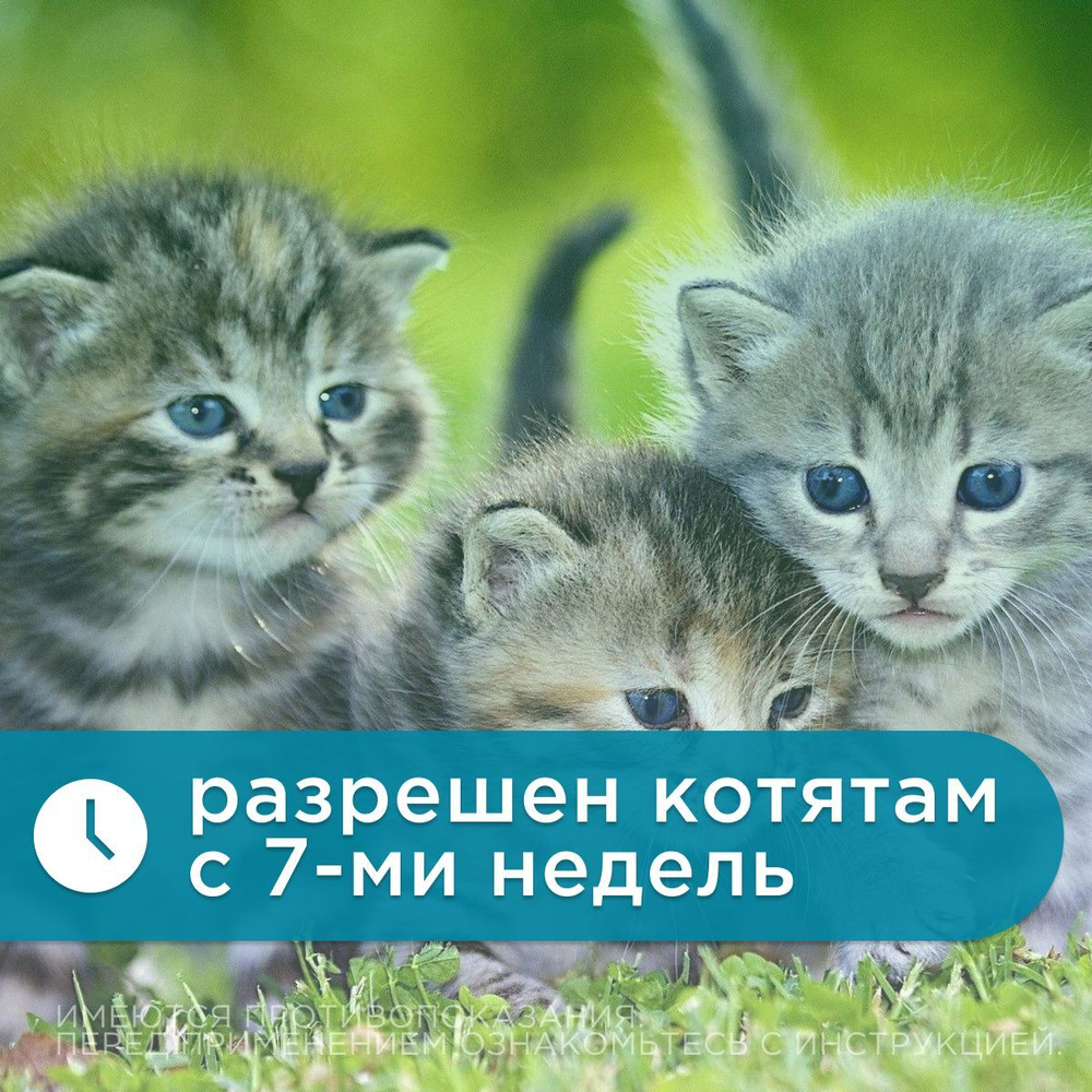 Капли на холку от блох, клещей и гельминтов для кошек менее 4 кг Гельминтал К SPOT-ON (Neoterica), 3 пипетки Моксидектин/Празиквантел