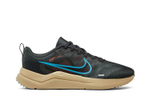 Кроссовки Nike Downshifter 12