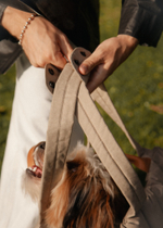 Сумка-переноска Пони бежевая