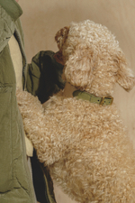 Ошейник "Пони-узелкони" Бежево-зеленый