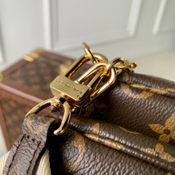 Louis Vuitton Multi Pochette Accessoires