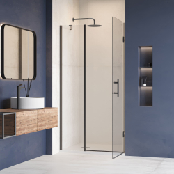 Душевая дверь RGW HO-012B (Прозрачное, 1100)