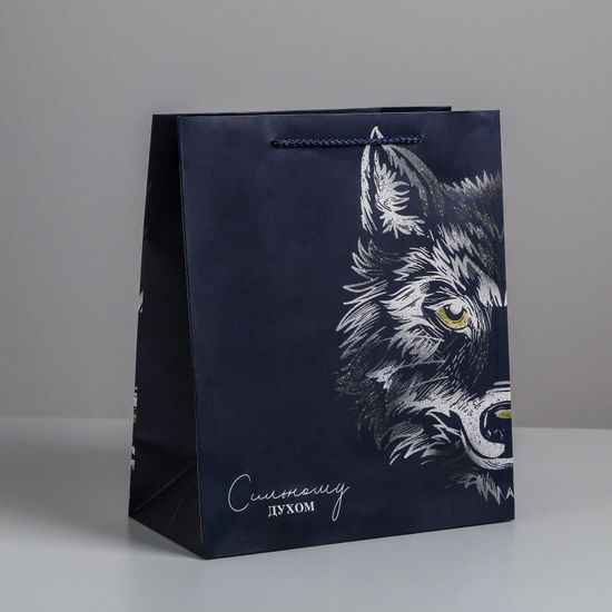 Пакет подарочный ламинированный, упаковка, «Сильному духом», ML 23×27×11.5 см