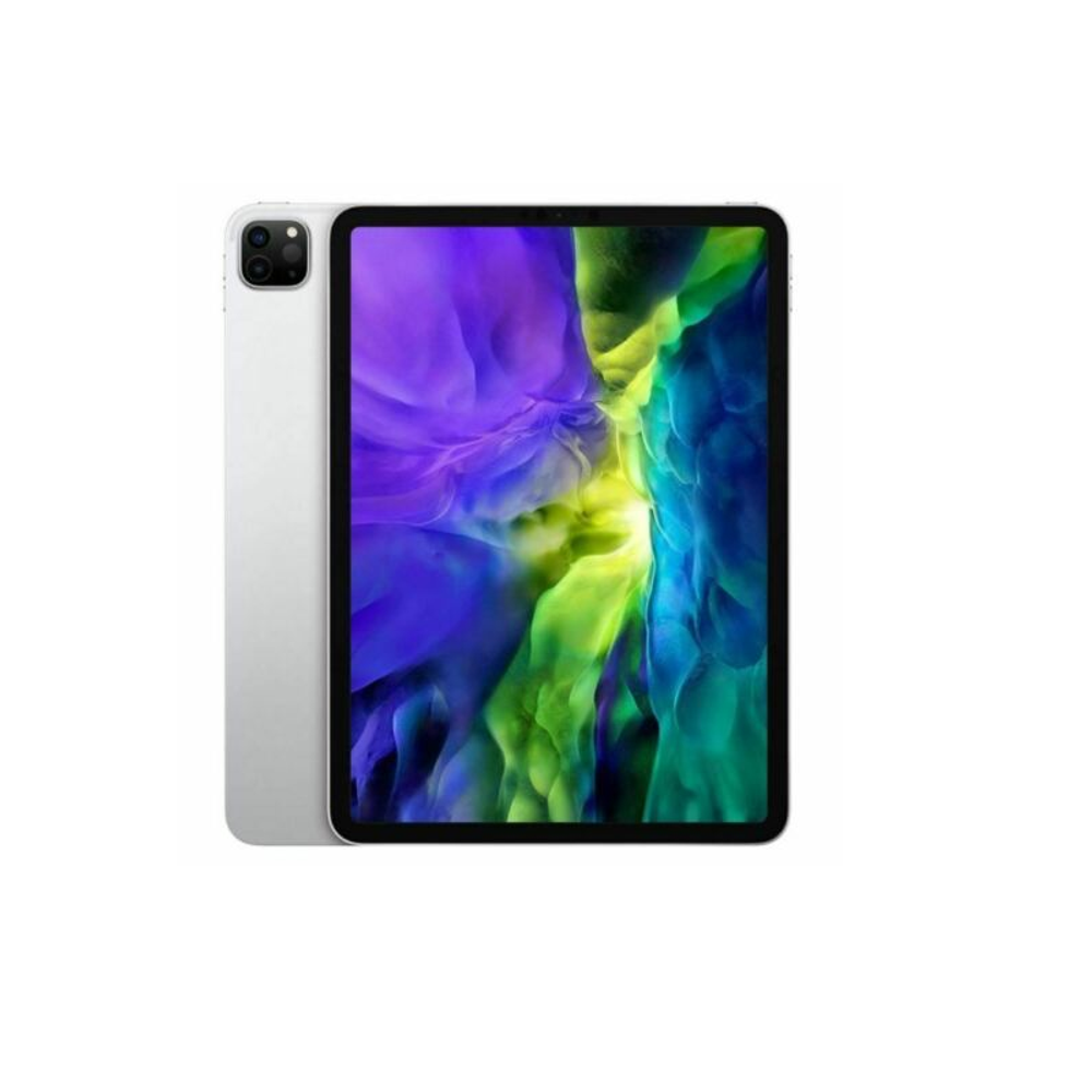 iPad Pro (4 Gen)