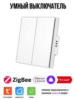 Умный выключатель ZigBee двухклавишный для Алисы