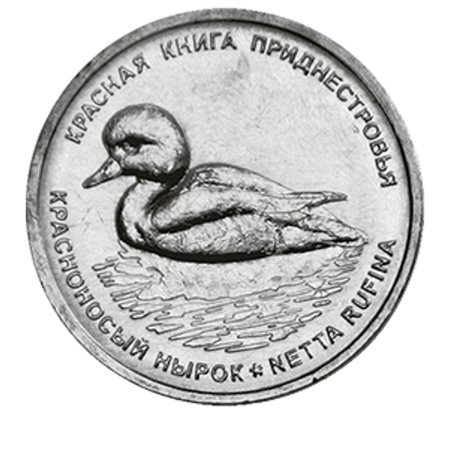 1 рубль . Красноносый нырок . Утка . Красная книга Приднестровья 2023 год