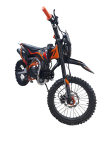 Питбайк Racer TRZ140E Pitbike оранжевый