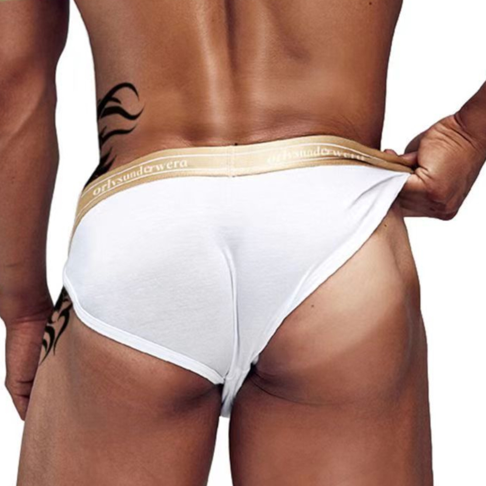 Мужские трусы брифы белые ORLVS OR6221-113