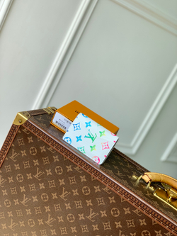 Louis Vuitton Pocket Organizer