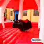 Батут для аттракциона родео «Дикая прерия», 5×5×4 м