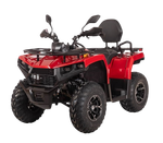 Электроквадрицикл Bizon YK250EL LUX