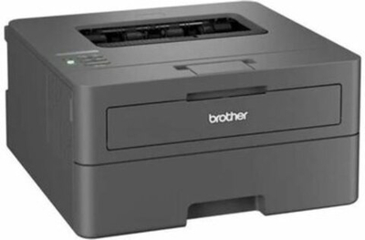Лазерный принтер Brother HL-L2400DWE