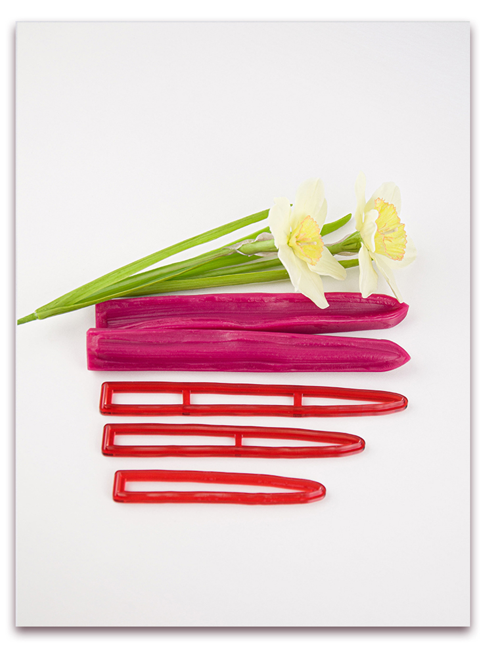 Лист нарцисса узкий