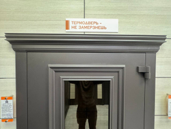 Дверь входная "Исландия"